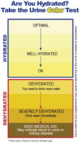 Urine Hydration Chart